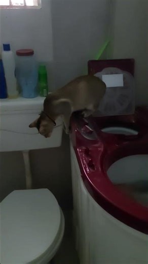 looking how wash machine is working #wondering #surprise