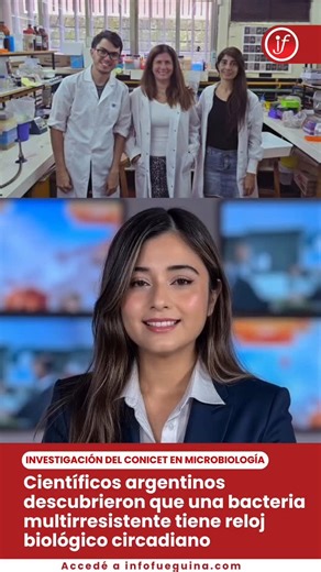 El hallazgo sobre “Acinetobacter baumannii”, un patógeno hospitalario, podría cambiar la comprensión de las infecciones y optimizar los tratamientos con antibióticos según el momento del día. | InfoFueguina.com