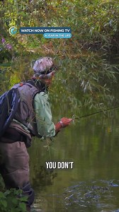 Why fish the chalk streams? - ‘A Year in the Life – A Fly Fishing Journey’ on FishingTV Click the link to watch now! https://www.fishingtv.com/video/a-year-in-the-life-a-fly-fishing-journey/ A Year in the Life follows six anglers exploring world-class fly fishing destinations. From Iceland’s giant Brown Trout and Christmas Island’s saltwater species to New Zealand’s backcountry rivers, Mexico’s Permit-rich Ascension Bay, and England’s iconic Chalk Streams, the film showcases stunning waters, div