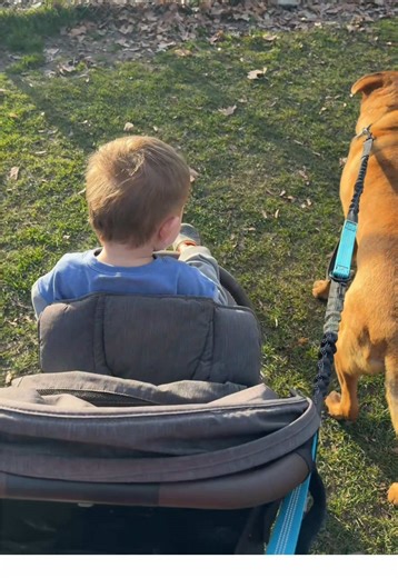 Once you use a hands free dog leash there’s no going back! Wish I would’ve known about this leash sooner😭 #dogleash