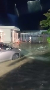 11 shares · 4 comments | En la vida todo el que quiere progresar tiene que pasar por esto y por mas #taskพาปัง #ysuúltima #reelsfbシ #viralreelsfacebook #viralreelschallenge #sorprendido #Pata #citadelle #suprimera #gallina | umor viral | Facebook