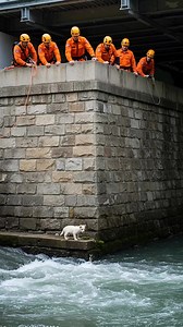 Tiny Snow Wolf Pup Rescued by the Brave Team #highlightseveryonefollowers #viral #reelsvideoシ #fypシ | Arctic Sea Creatues