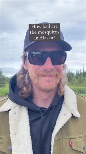 The incredible Alaskan views make enduring the mosquitos worth it 🤣🦟 #Alaska #mosquito#wilderness #outdoors #alaskalife • #SharingAlaska by katmai_sky | Sharing Alaska