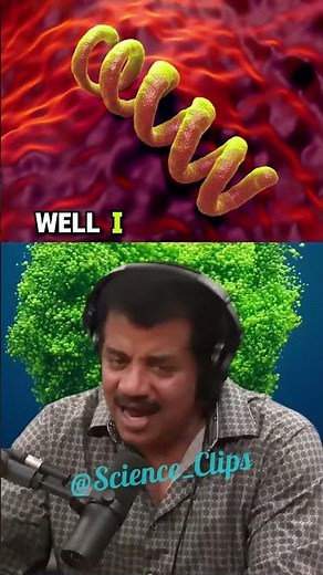 Columbus & the Syphilis Connection: Unraveling a Historical Medical Mystery! Neil Degrasse Tyson