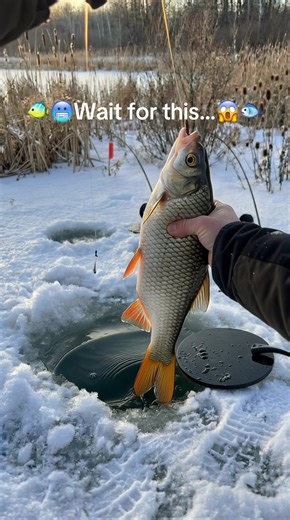 Ice Fishing Adventures: The Thrill of Winter Angling