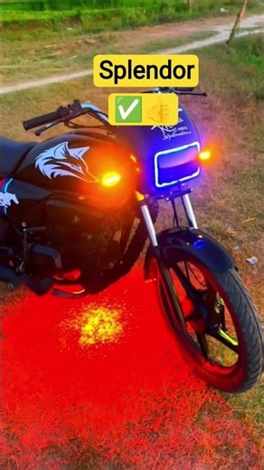Splendor lover#sorts #sorts