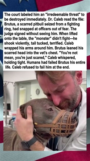 Vet Holds 'Irredeemable' Dog Through Final Moments
