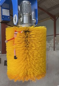 The naughty elf is stuck in the cow brush! 🤣🙈 📹 Elf on the Farm | FarmingUK