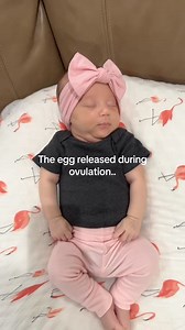 Best surprise ever #twintok #fraternaltwins #twinmom #twinpregnancy #twins #babiesoftiktok #twinmom | Twin pregnancy