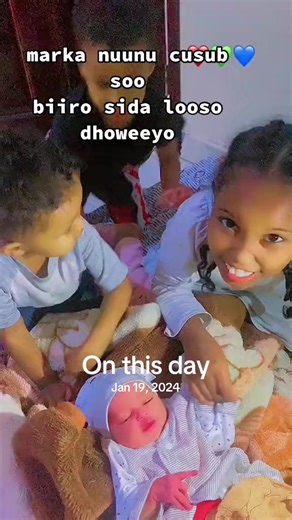 Hagaha Shaxda: Sida Loo Sameeyo Torto