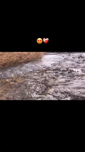 𝓐𝓩𝓘𝓩 𝓞𝓤𝓐𝓓𝓓𝓘 on Instagram‎: "⁨ ⁨ ❄️🌨️ #ahidous #خنيفرة #amazigh #chlha #شلحة atlas music موسيقى atlas amazigh شلحة جديد music اغاني monceframirouicha riff maroc ahidous تيك_توك chaabi song nachat بدروعبيموسيقى atlas اكسبلور music music شلحة amazigh جديد ahidous youtubeshorts moncef rami rouicha otaroutarوترة أطلس⁩⁩"‎