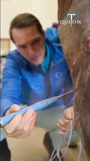 CHEVAL : 7 semaines après l’accident #chevaux