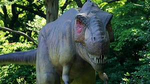 Dino Park Zoo bringing prehistoric creatures to life