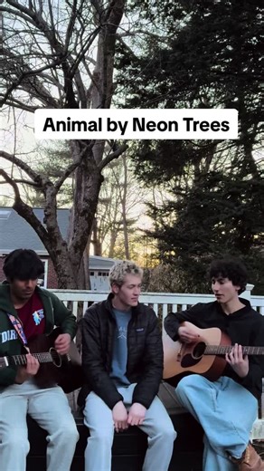 Animal by @Neon Trees #cover #band #music #indie #rock