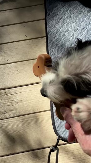 63K views · 1.4K reactions | Hank 勺 Hank, is a mystery mix of...