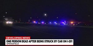 Police: Springfield woman struck and killed by car on I-291
