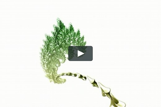 Rena Jones - Open Me Slowly 3D Fractal Video