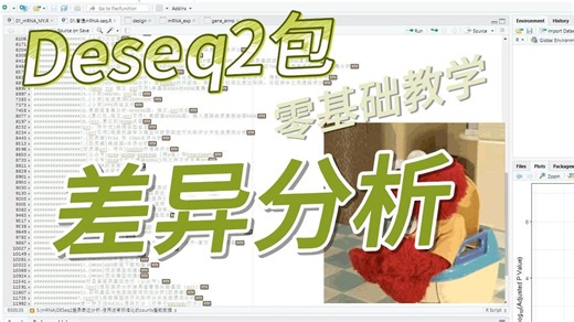 零基础也能学懂！如何利用Deseq2包进行差异分析