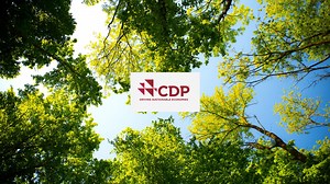 管理 142 万亿美元需求的增强型气候和自然数据的金融机构； CDP 推出新的披露平台