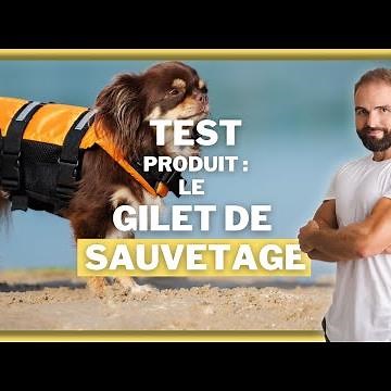 TEST PRODUIT POUR CHIEN : gilet de sauvetage pour chien