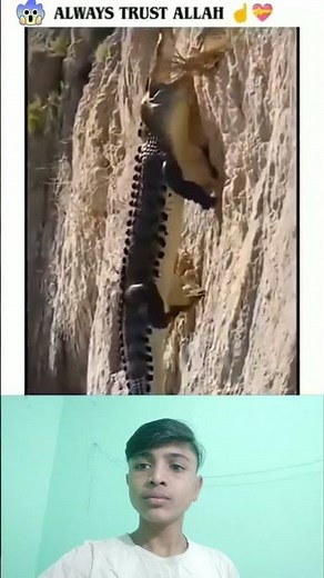 #allah #shorts #muhammadﷺ #trendingshorts