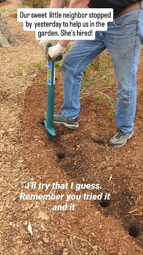 Bill was transplanting Summer Snowflake (Leucojum aestivum) yesterday that needed to be moved out of a path when our adorable neighbor Bri came over to help. She was a little small to help dig holes with the ProPlugger but she was a pro at planting! ~Jeannie~ | ProPlugger