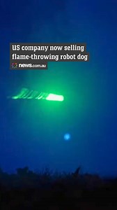 39K views · 230 reactions | What could possibly go wrong... 樂 | News.com.au | Facebook