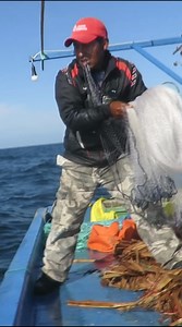 102K views · 957 reactions | pesca de peces voladores en alta Mar  - pesca en Alta Mar #CastNetFishing | And Moll | Facebook