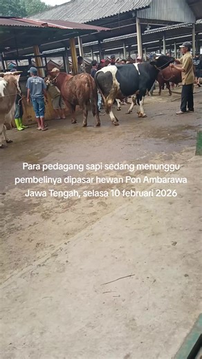 Pasar hewan Pon Ambarawa,selasa 10 februari 2026#lewatberanda #viralllllll #ambarawa #sapi #fypシ