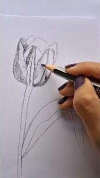 Simple flower sketch P1 #easydrawing #flowersketch #easysketch #easyart