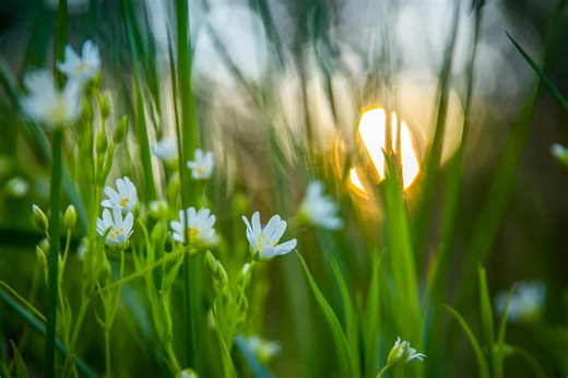 Weather forecast reveals how long sunshine will last after weeks of rain