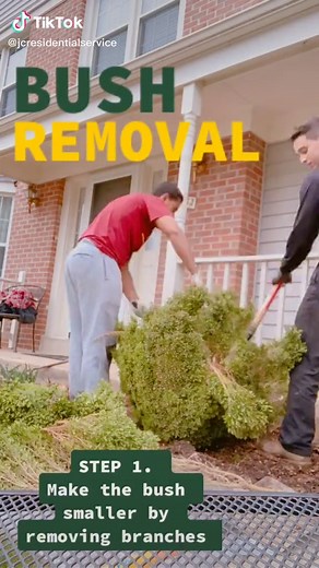 How to remove an unwanted bush from your property #landscaper #smallbusiness #bushremoval #distancedance #fypage #ThisIsQuitting
