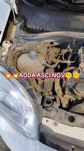 Adda Ascì Nov: Il Miglior Car Detailing