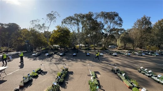 16 reactions | It's time for the Australian Native Plant Society of...