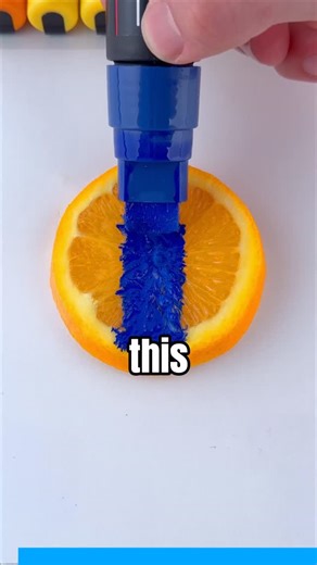 Bart Does Art on Instagram: "Drawing On An Orange! • • • • • #posca #art #artist #darwin"