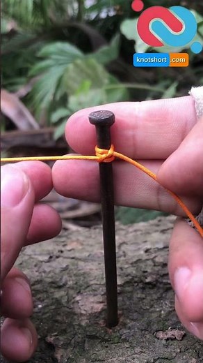 How to tie a loop knot on a string #knotshortchannel