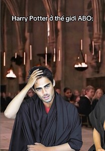 Harry Potter ở thế giới ABO: ý tưởng và fanfic ngắn