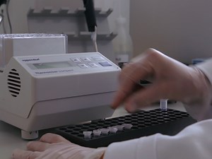 FtsZ Polymerization Assays: Simple Protocols and Considerations