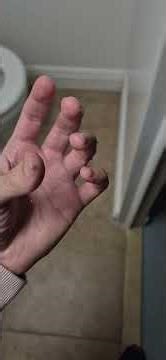 what's this green insect called?