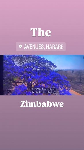 People from all over the world agree that Zimbabwe is a beautiful place to visit. I always encourage everyone to come and experience our amazing country. I also want to motivate local Zimbabweans to travel around the country, enjoy our attractions, and help promote our tourism. Thank you very much. | Discover Zimbabwe
