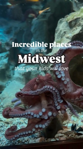 Kristen | Family Adventure Travel | Midwest & Beyond on Instagram: "Bucket list places in the Midwest to take your kids We have traveled all over the lower Midwest, always looking for the best kid-friendly places. Here are the ones we think you absolutely cannot miss. 🦕 Children’s Museum of Indianapolis This 5 story museum is hands down the best children’s museum in the Midwest. A must visit for kids of all ages! 🐘 Henry Doorly Zoo & Aquarium in Omaha, Nebraska Rated one of the best zoos in th