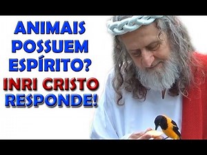 ANIMAIS possuem ESPÍRITO? INRI CRISTO responde!