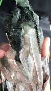 Amazing garden quartz Lizard! | Crystal skull world | Facebook