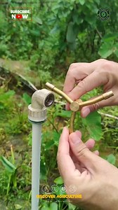 Introducing the latest innovation in agriculture and gardening – our new sprinkler irrigation system! Designed to optimize water usage, promote healthy plant growth, and simplify maintenance. Say goodbye to manual watering with this efficient and effective solution. Improve crop yields or transform your garden into a lush oasis effortlessly. Upgrade your irrigation game now! 🌿💧 #Agriculture #Gardening #IrrigationSystem #water #sustainability #conservation #irrigation #irrigation #agriculture #