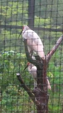 Toki Forest Park 2025/8/12
