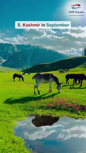 8 Must Visit Places in India 🇮🇳✨ | Travel Bucket List #travel #shortvideo