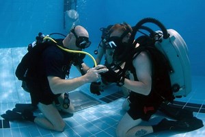 PADI vs NAUI vs SSI - Which Scuba Certification to Choose?