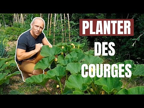 Tuto jardin - Comment planter des courges
