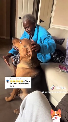 Dogs Show Love for Grandma in Hilarious Clip