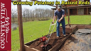 49K views · 2.1K reactions | 4 Different Ways to Grow Potatoes in...